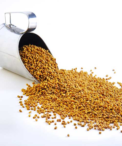 Fenugreek